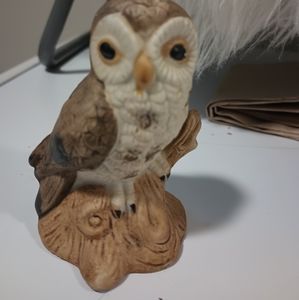 Pay what you want!!!!      Cute little vintage Owl.